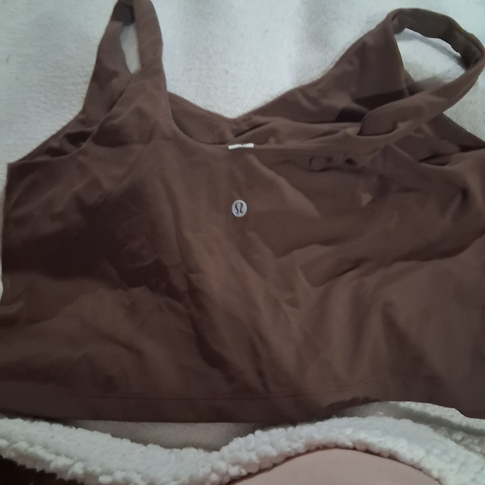 Lululemon Athletica Brown Jersey Top